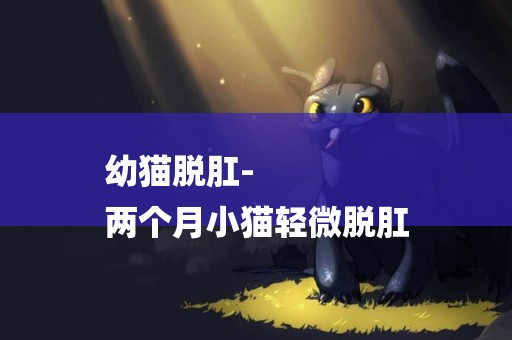 幼貓脫肛-
兩個月小貓輕微脫肛