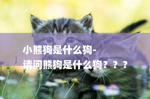 小熊狗是什么狗-
請問熊狗是什么狗？？？