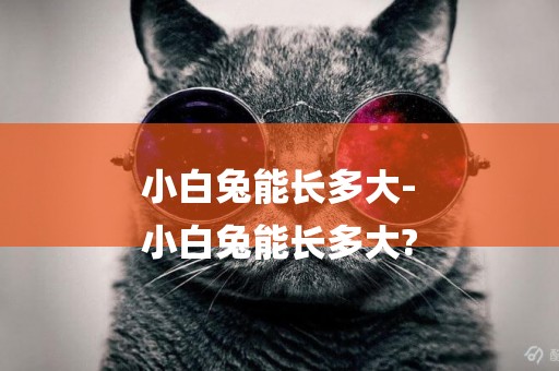 小白兔能長多大-
小白兔能長多大?