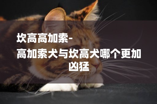 坎高高加索-
高加索犬與坎高犬哪個更加兇猛