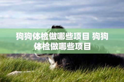 狗狗體檢做哪些項目 狗狗體檢做哪些項目