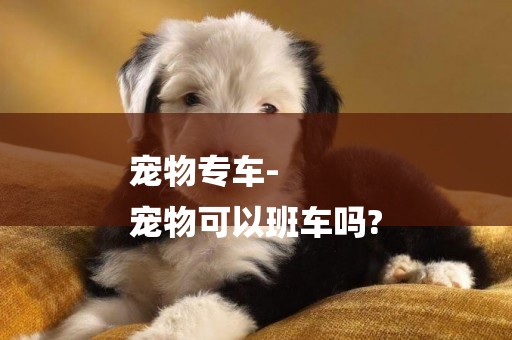 寵物專車-
寵物可以班車嗎?