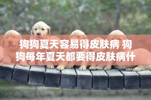 狗狗夏天容易得皮膚病 狗狗每年夏天都要得皮膚病什么原因