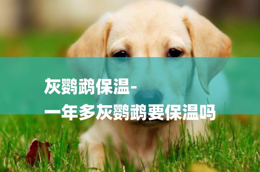 灰鸚鵡保溫-
一年多灰鸚鵡要保溫嗎