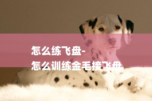 怎么練飛盤-
怎么訓練金毛接飛盤