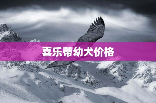 喜樂蒂幼犬價格