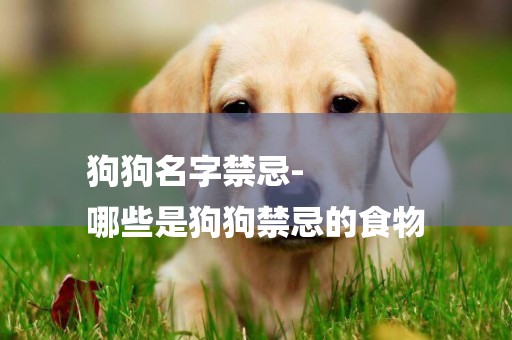 狗狗名字禁忌-
哪些是狗狗禁忌的食物