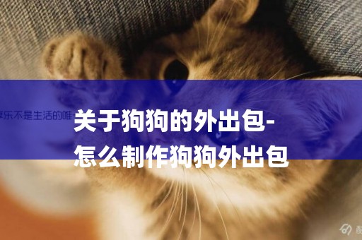 關于狗狗的外出包-
怎么制作狗狗外出包