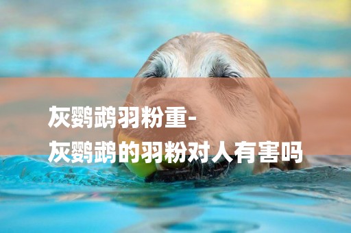 灰鸚鵡羽粉重-
灰鸚鵡的羽粉對人有害嗎