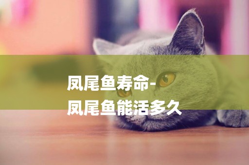 鳳尾魚壽命-
鳳尾魚能活多久
