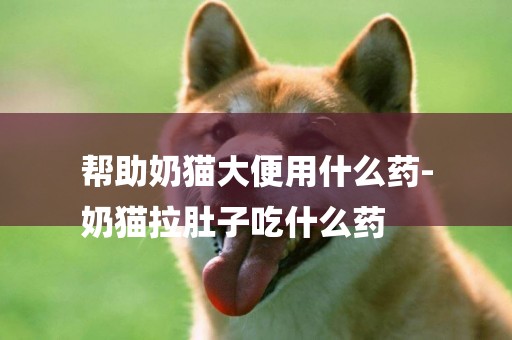 幫助奶貓大便用什么藥-
奶貓拉肚子吃什么藥