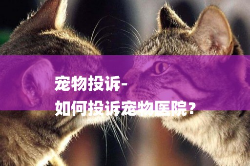 寵物投訴-
如何投訴寵物醫院？