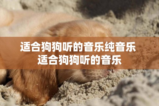 適合狗狗聽的音樂純音樂 適合狗狗聽的音樂