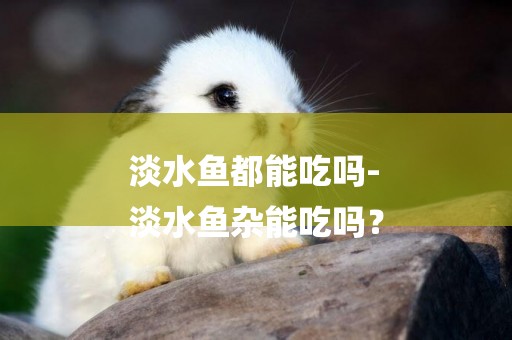 淡水魚都能吃嗎-
淡水魚雜能吃嗎？