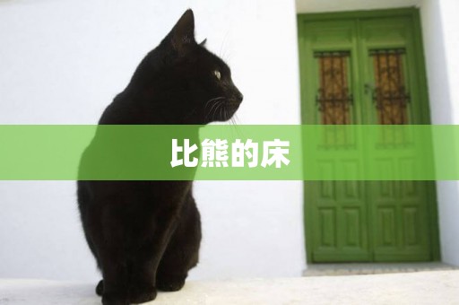 比熊的床