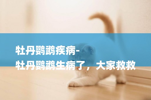 牡丹鸚鵡疾病-
牡丹鸚鵡生病了，大家救救
