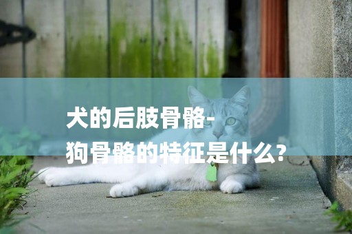 犬的后肢骨骼-
狗骨骼的特征是什么?