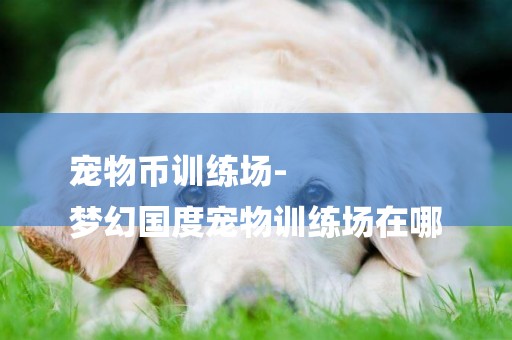 寵物幣訓練場-
夢幻國度寵物訓練場在哪