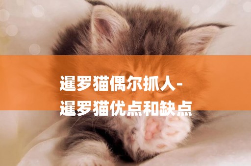 暹羅貓偶爾抓人-
暹羅貓優點和缺點