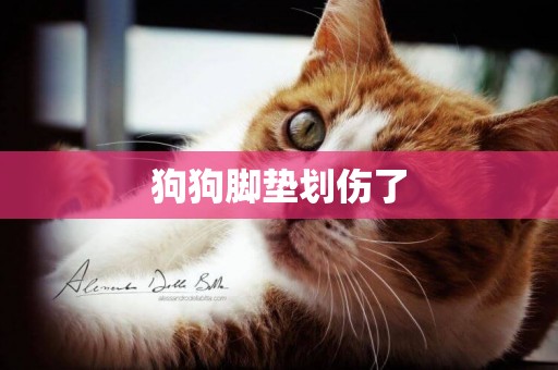 狗狗腳墊劃傷了