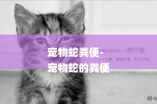 寵物蛇糞便-
寵物蛇的糞便