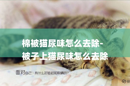 棉被貓尿味怎么去除-
被子上貓尿味怎么去除