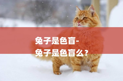 兔子是色盲-
兔子是色盲么？