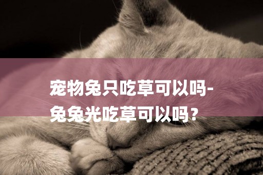 寵物兔只吃草可以嗎-
兔兔光吃草可以嗎？