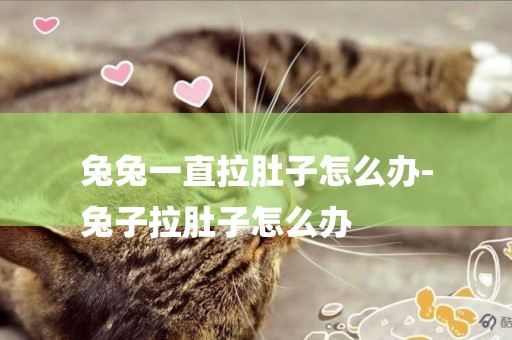 兔兔一直拉肚子怎么辦-
兔子拉肚子怎么辦