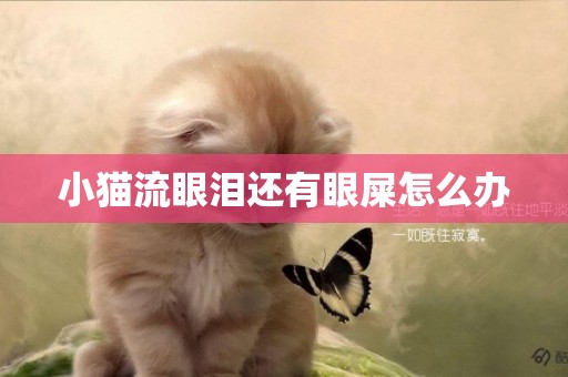 小貓流眼淚還有眼屎怎么辦