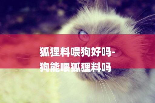 狐貍料喂狗好嗎-
狗能喂狐貍料嗎