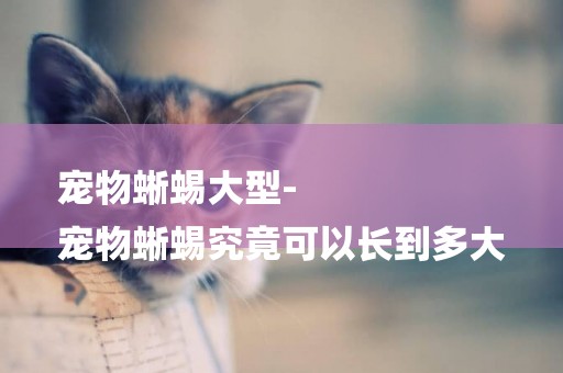 寵物蜥蜴大型-
寵物蜥蜴究竟可以長到多大