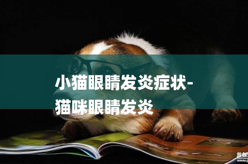 小貓眼睛發炎癥狀-
貓咪眼睛發炎