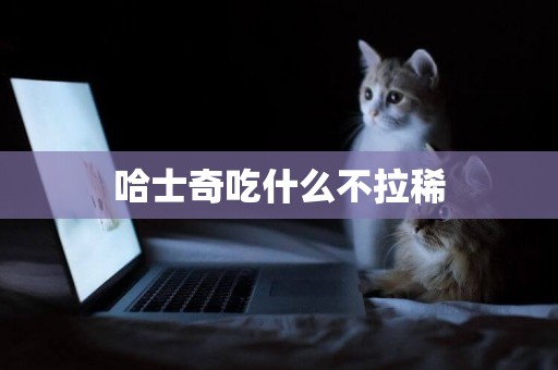 哈士奇吃什么不拉稀