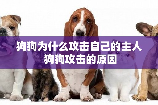 狗狗為什么攻擊自己的主人 狗狗攻擊的原因