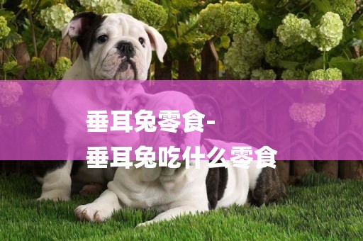 垂耳兔零食-
垂耳兔吃什么零食