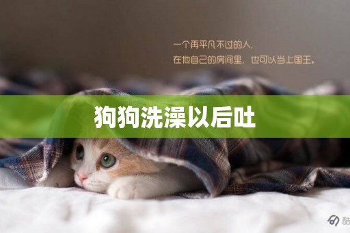 狗狗洗澡以后吐