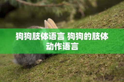狗狗肢體語言 狗狗的肢體動作語言
