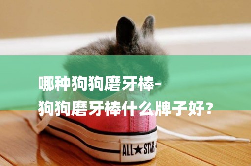 哪種狗狗磨牙棒-
狗狗磨牙棒什么牌子好？