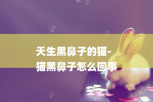 天生黑鼻子的貓-
貓黑鼻子怎么回事