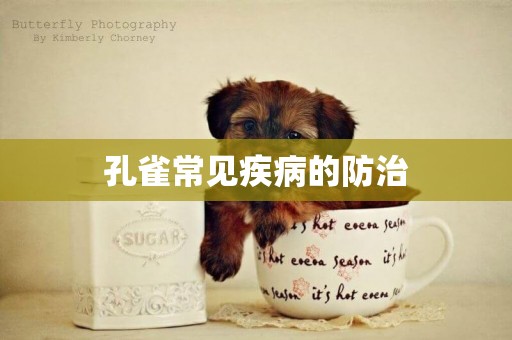 孔雀常見疾病的防治