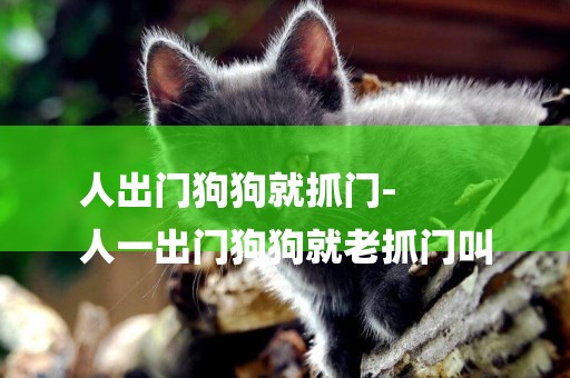 人出門狗狗就抓門-
人一出門狗狗就老抓門叫