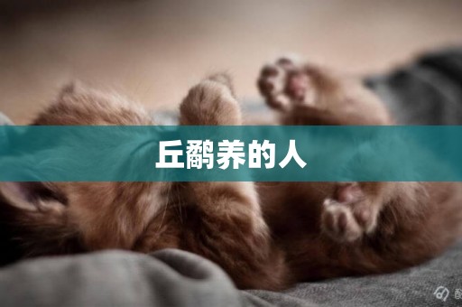 丘鷸養的人