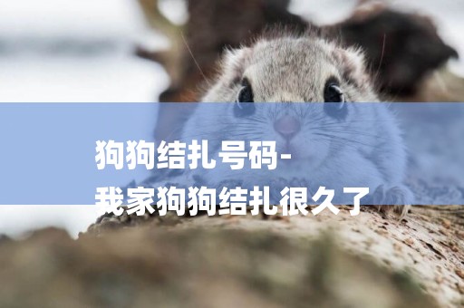 狗狗結扎號碼-
我家狗狗結扎很久了