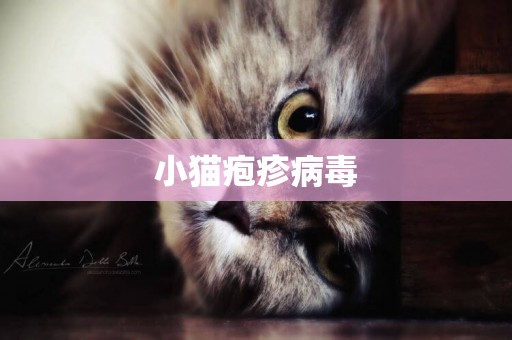 小貓皰疹病毒