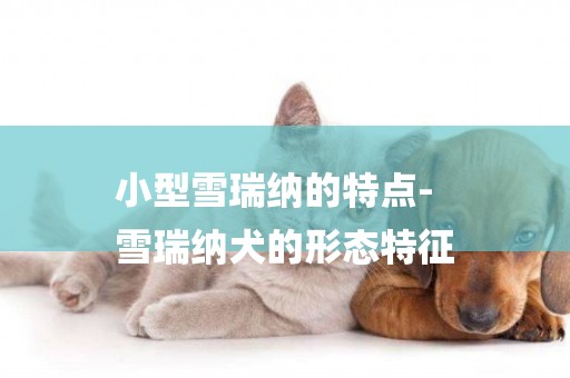 小型雪瑞納的特點-
雪瑞納犬的形態特征