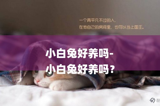 小白兔好養嗎-
小白兔好養嗎？