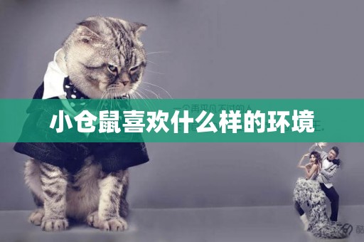 小倉鼠喜歡什么樣的環境