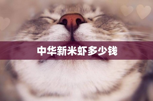 中華新米蝦多少錢