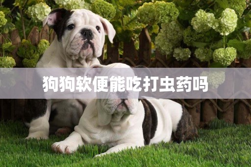 狗狗軟便能吃打蟲藥嗎